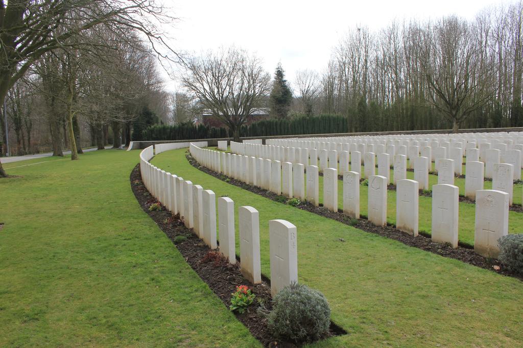 Sandpiper Ieper Rom bilde