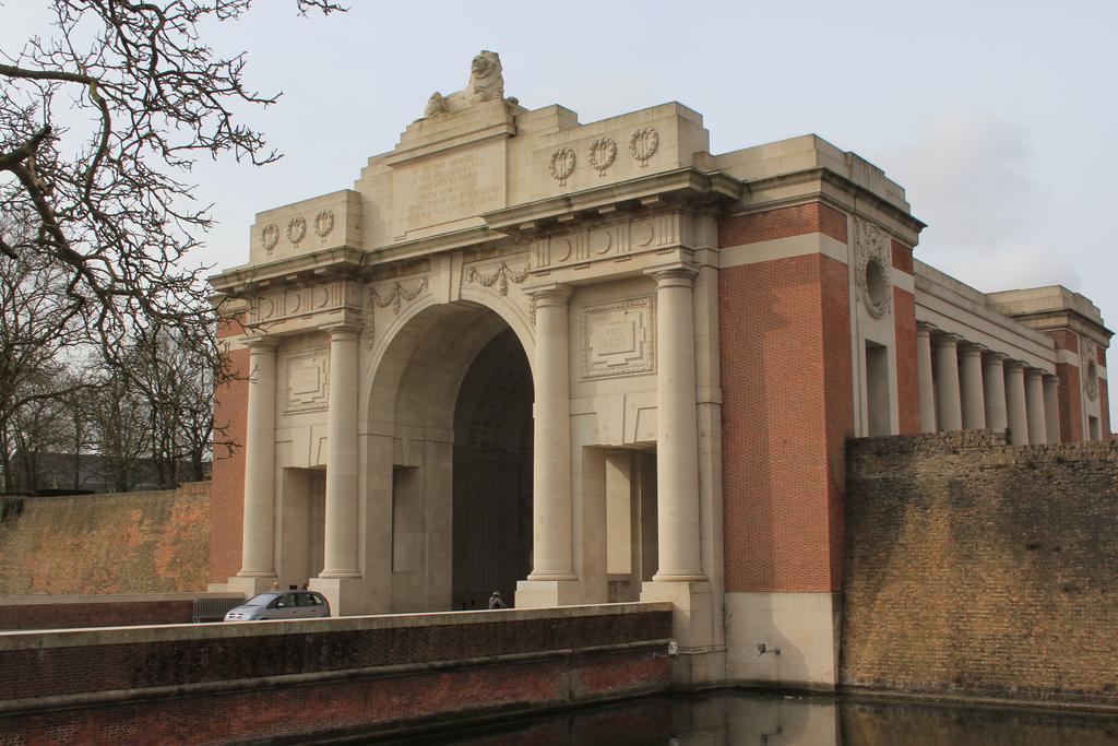 Sandpiper Ieper Rom bilde